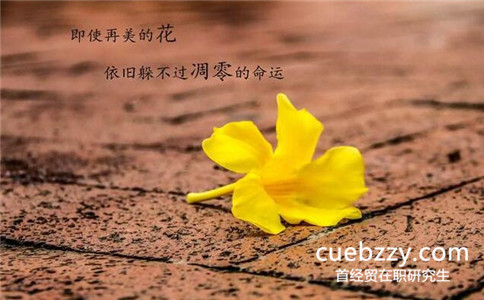 首经贸在职研究生通过率怎么样?高不高