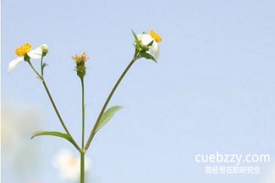 首都经济贸易大学在职研究生只有结业证书能够升职加薪吗？