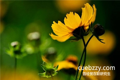 攻读首都经济贸易大学在职研究生会影响工作吗? 攻读首都经济贸易大学在职研究生会影响工作吗?
